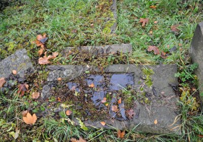 Novosedlice, Omnium, 2020