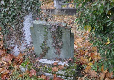 Novosedlice, Omnium, 2020