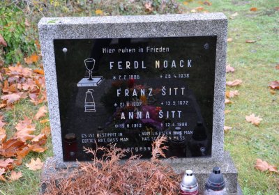 Novosedlice, Omnium, 2020