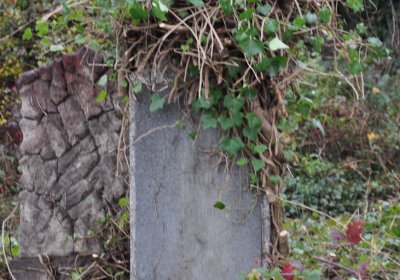 Novosedlice, Omnium, 2020