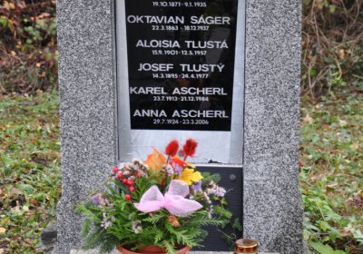 Novosedlice, Omnium, 2020