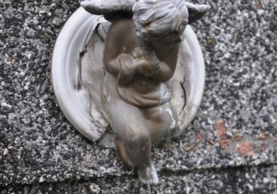 Novosedlice, Omnium, 2020