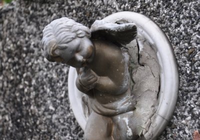 Novosedlice, Omnium, 2020