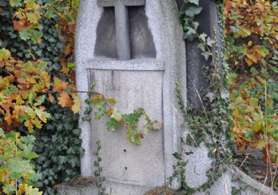 Novosedlice, Omnium, 2020