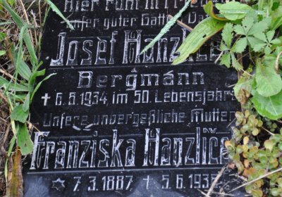 Novosedlice, Omnium, 2020