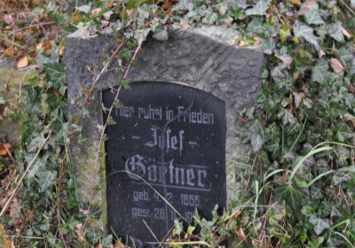 Novosedlice, Omnium, 2020