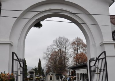 Novosedlice, Omnium, 2020