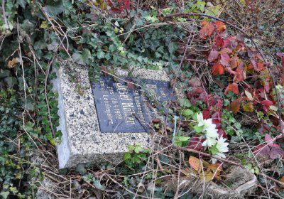 Novosedlice, Omnium, 2020