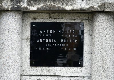 Novosedlice, Omnium, 2020