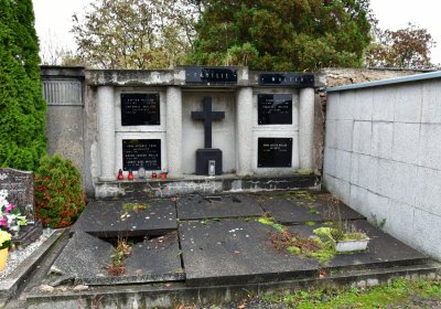 Novosedlice, Omnium, 2020