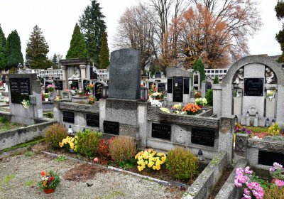 Novosedlice, Omnium, 2020