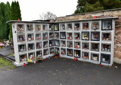 Novosedlice, Omnium, 2020