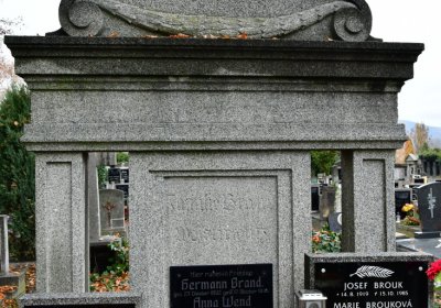 Novosedlice, Omnium, 2020