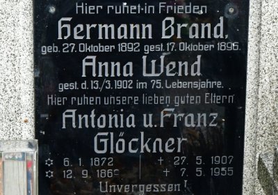 Novosedlice, Omnium, 2020