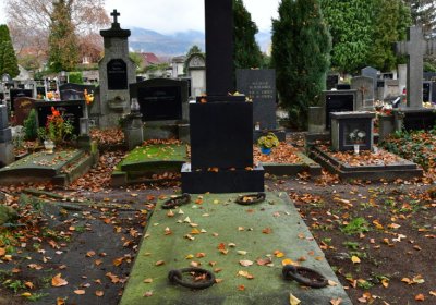 Novosedlice, Omnium, 2020