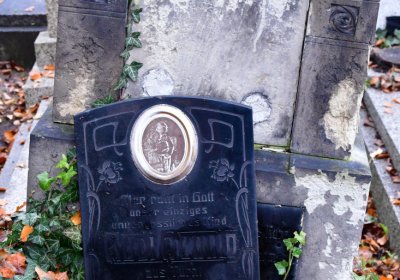 Novosedlice, Omnium, 2020