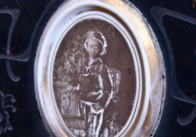 Novosedlice, Omnium, 2020