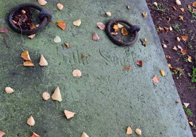 Novosedlice, Omnium, 2020