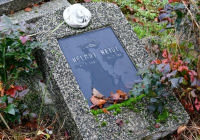 Novosedlice, Omnium, 2020