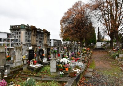 Novosedlice, Omnium, 2020