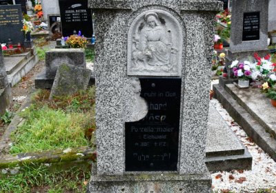 Novosedlice, Omnium, 2020