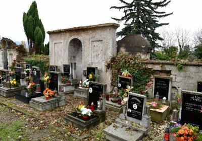 Novosedlice, Omnium, 2020