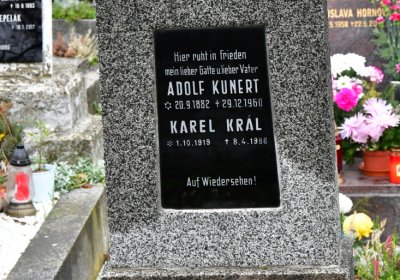 Novosedlice, Omnium, 2020