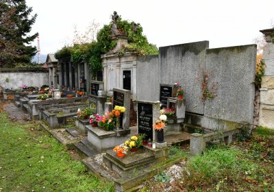 Novosedlice, Omnium, 2020