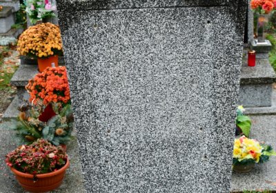 Novosedlice, Omnium, 2020