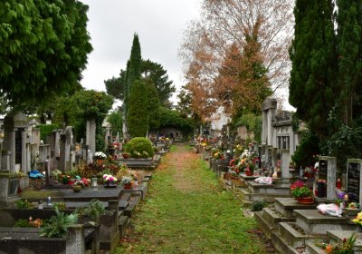 Novosedlice, Omnium, 2020