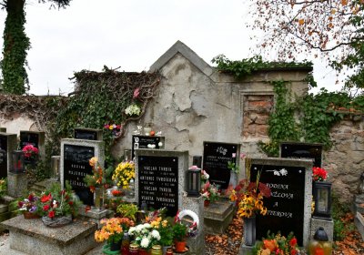 Novosedlice, Omnium, 2020