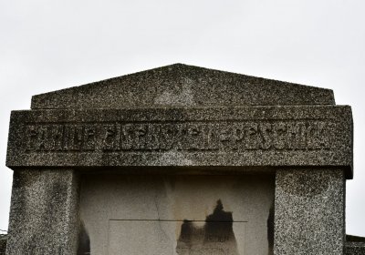 Novosedlice, Omnium, 2020