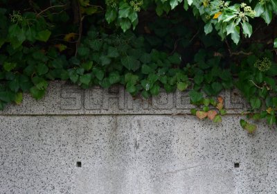 Novosedlice, Omnium, 2020