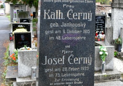 Novosedlice, Omnium, 2020