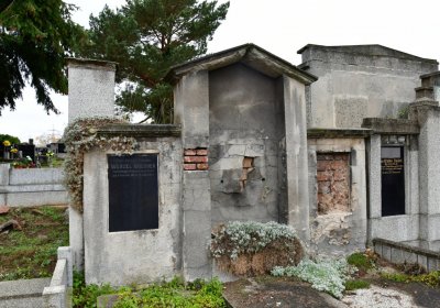 Novosedlice, Omnium, 2020