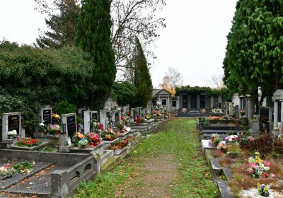 Novosedlice, Omnium, 2020