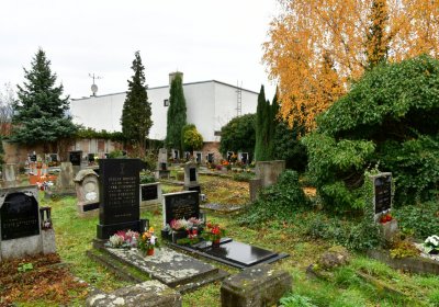 Novosedlice, Omnium, 2020