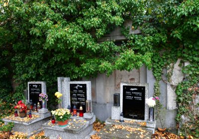 Novosedlice, Omnium, 2020