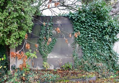 Novosedlice, Omnium, 2020