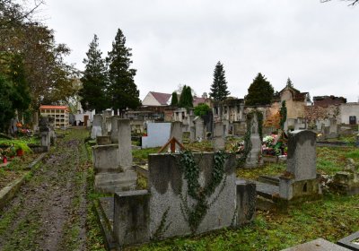 Novosedlice, Omnium, 2020