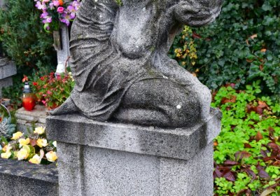 Novosedlice, Omnium, 2020