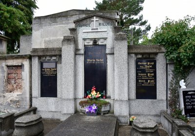 Novosedlice, Omnium, 2020