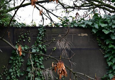 Novosedlice, Omnium, 2020