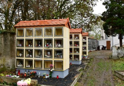 Novosedlice, Omnium, 2020