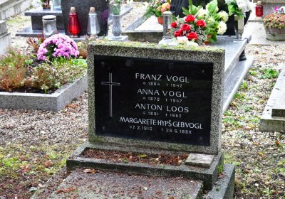 Novosedlice, Omnium, 2020