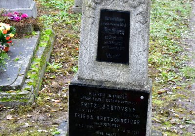 Novosedlice, Omnium, 2020