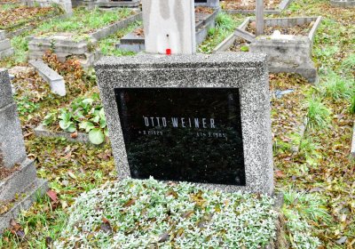 Novosedlice, Omnium, 2020