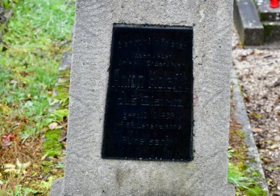 Novosedlice, Omnium, 2020