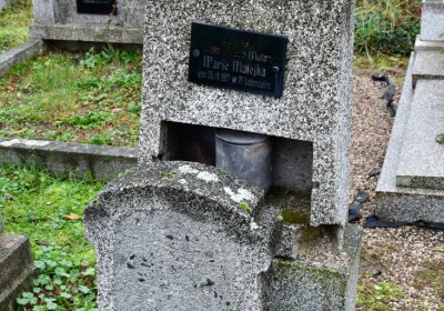 Novosedlice, Omnium, 2020