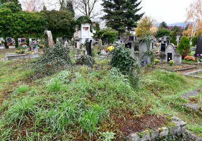 Novosedlice, Omnium, 2020